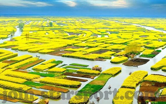 澳门赌场美金可以用吗-澳门赌场美金使用指南，了解规则，安心娱乐